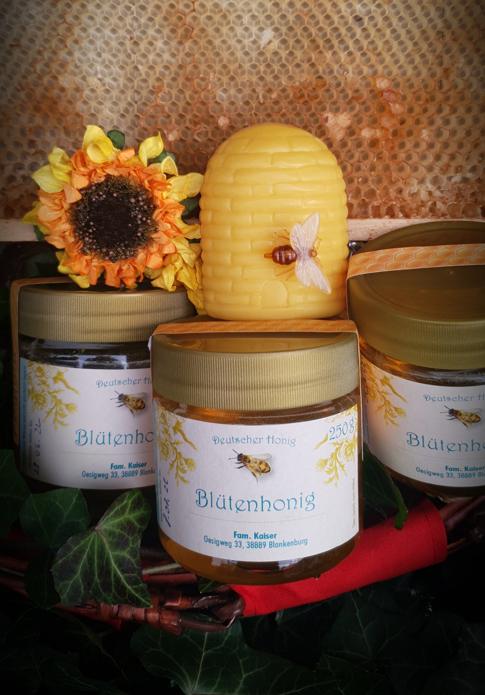 Blütenhonig aus Blankenburg